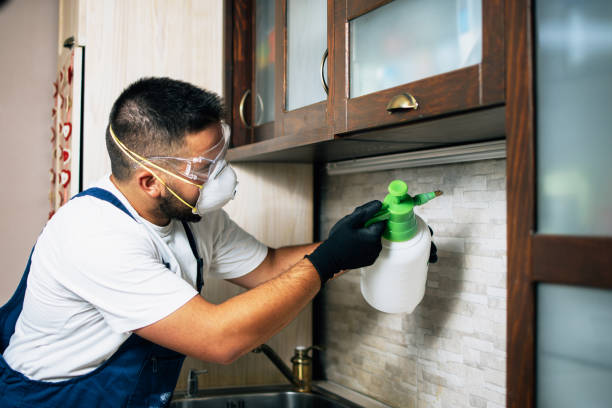 Best Ant Control Services  in Glasgow, OR