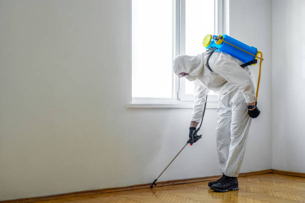 Best Flea Control Services  in Glasgow, OR