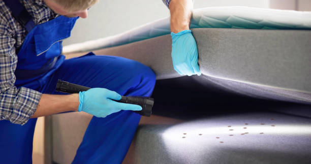 Best Pest Inspection Near Me  in Glasgow, OR