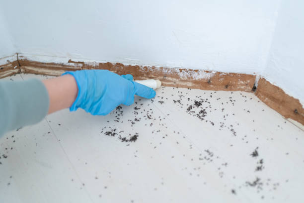 Reliable Glasgow, OR Pest Control Solutions