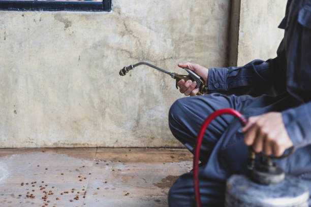 Best Wasp Removal Services  in Glasgow, OR
